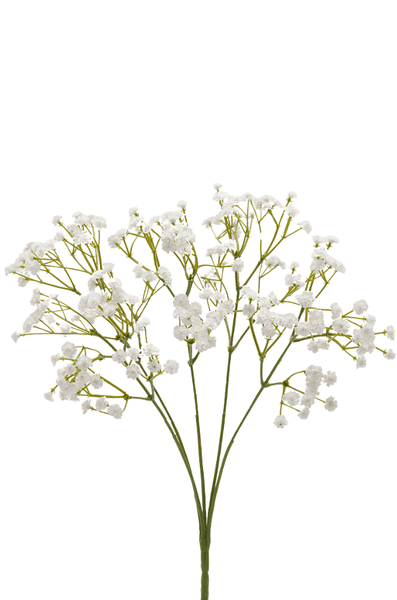 Hovedbilde BRUDESLØR GYPSOPHILA ARTIFICIALE
